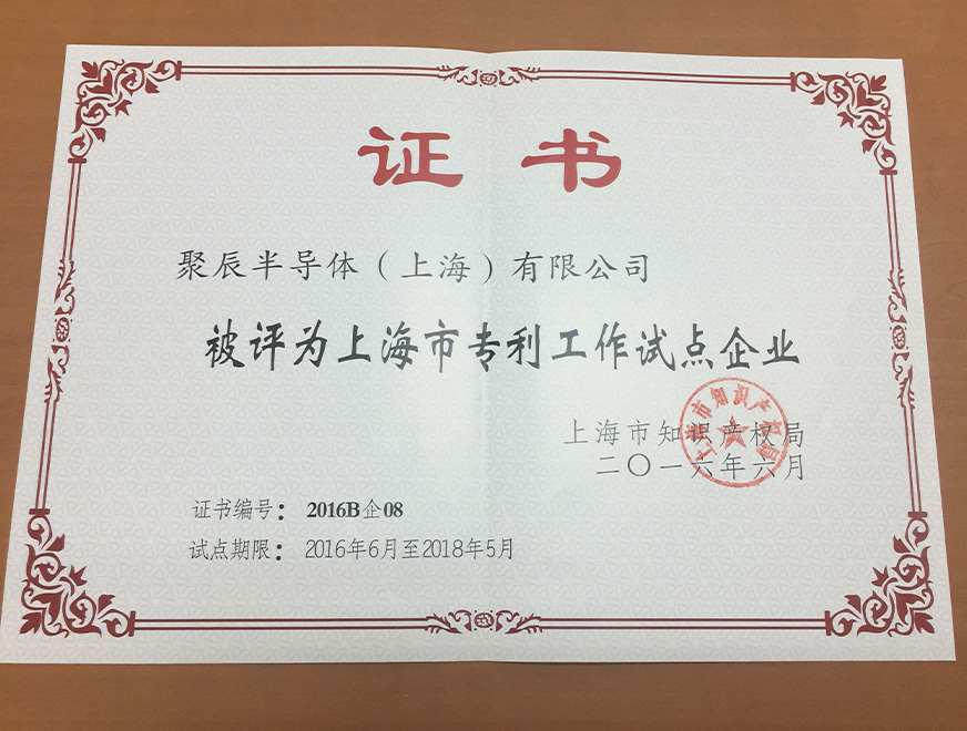  2016年聚辰获得上海市专利工作试点企业